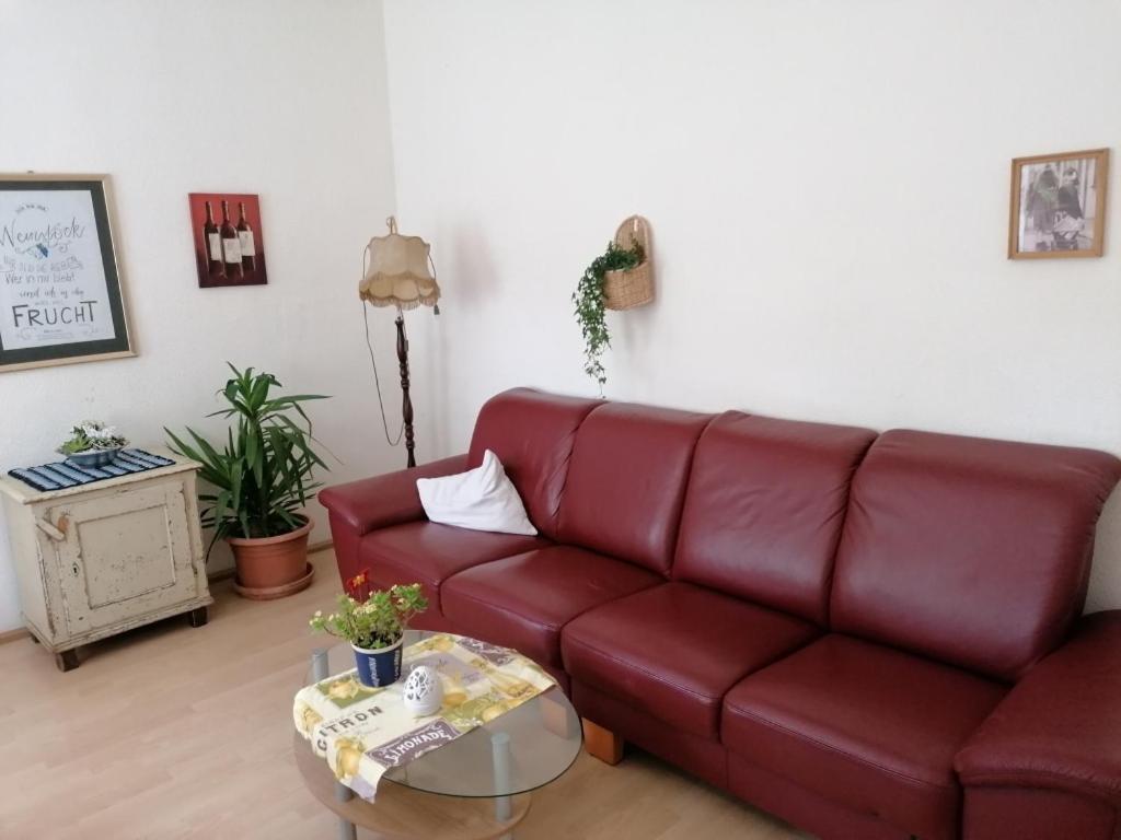 Ruestzeitenheim Sonnenschein Saalburg Ngoại thất bức ảnh